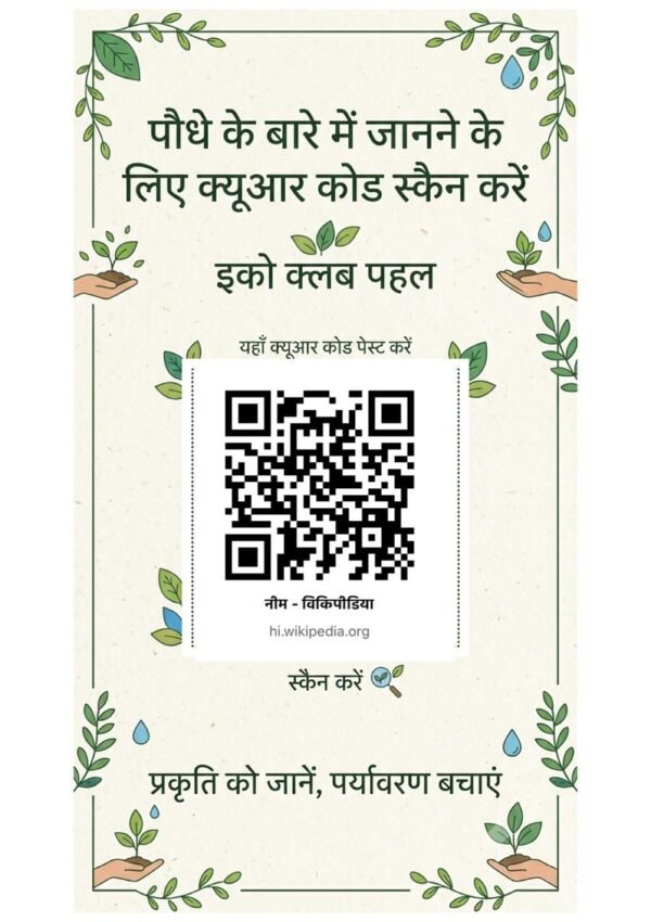 Neem tree
